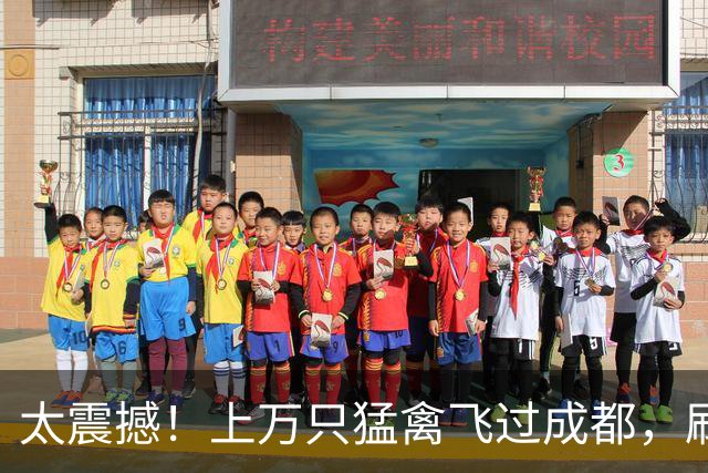 太震撼！上万只猛禽飞过成都，刷新本地纪录