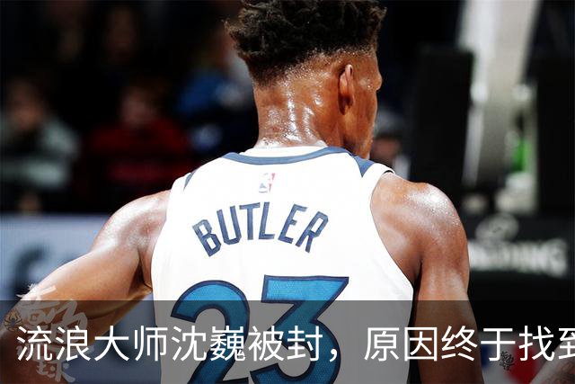 流浪大师沈巍被封，原因终于找到了